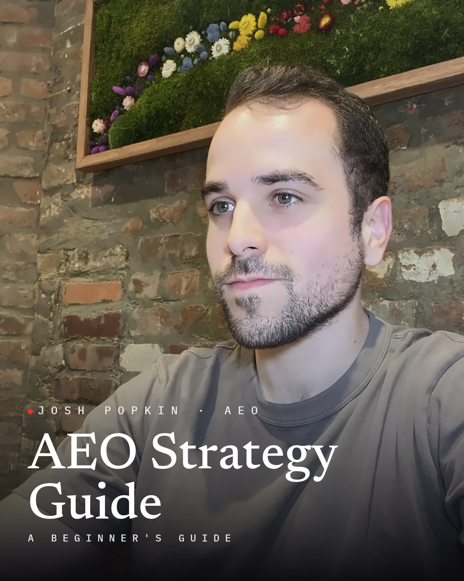 Josh Popkin, with the title AEO Strategy Guide